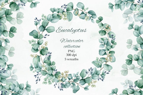 Eucalyptus Watercolor Wreaths: Illustrations Review