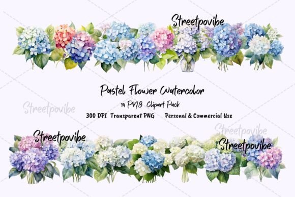 Hydrangea Flower Watercolor Clipart PNG Illustrations