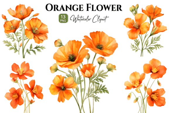 Orange Wild Flowers Watercolor Clipart: A Brand Designer’s Review for Local Business Branding