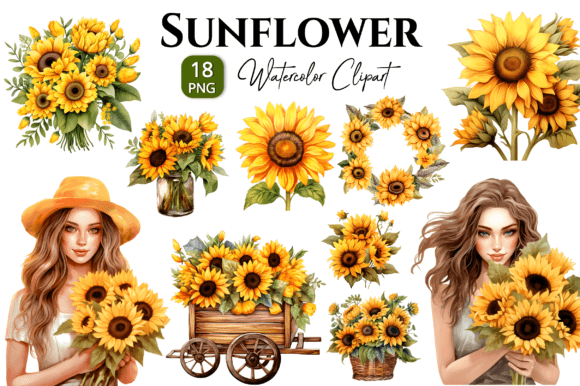 Sunflower Watercolor Clipart Bundle Png Illustrations