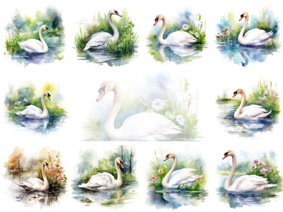 Swan Watercolor Clipart Image Set for Illustrations & Digital Product Sellers
