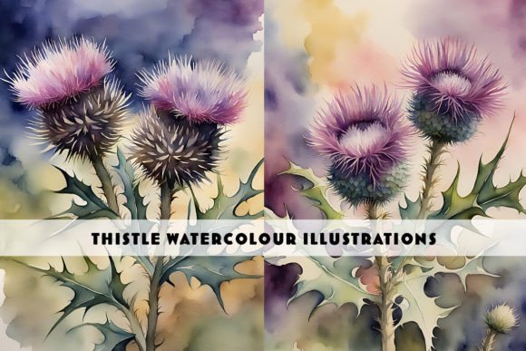 Thistle Watercolour Duo: A Designer’s Review for Branding and Illustration Projects