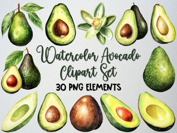 Watercolor Avocado Clipart Set for Embroidery Use: A Designer’s Honest Review