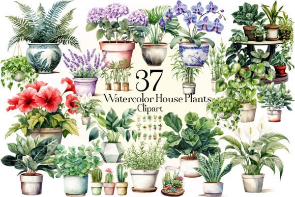 Watercolor House Plants Illustrations: A Fresh Design Asset for Lifestyle Brands