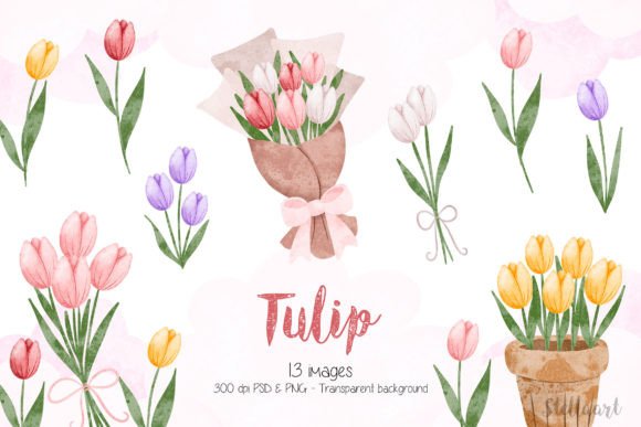 Watercolor Illustration Set of Tulip