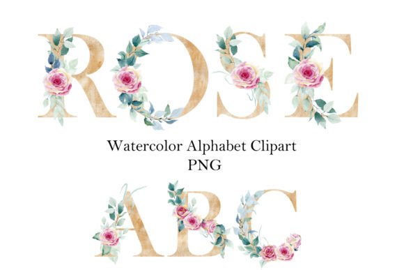Watercolor Roses Alphabet: Illustrations for Branding