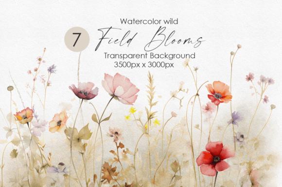 Watercolor Wild Flowers Illustrations for Editorial Design